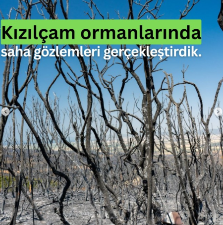 Şarköy yangını sonrası restorasyon önerileri geliştirdik!
