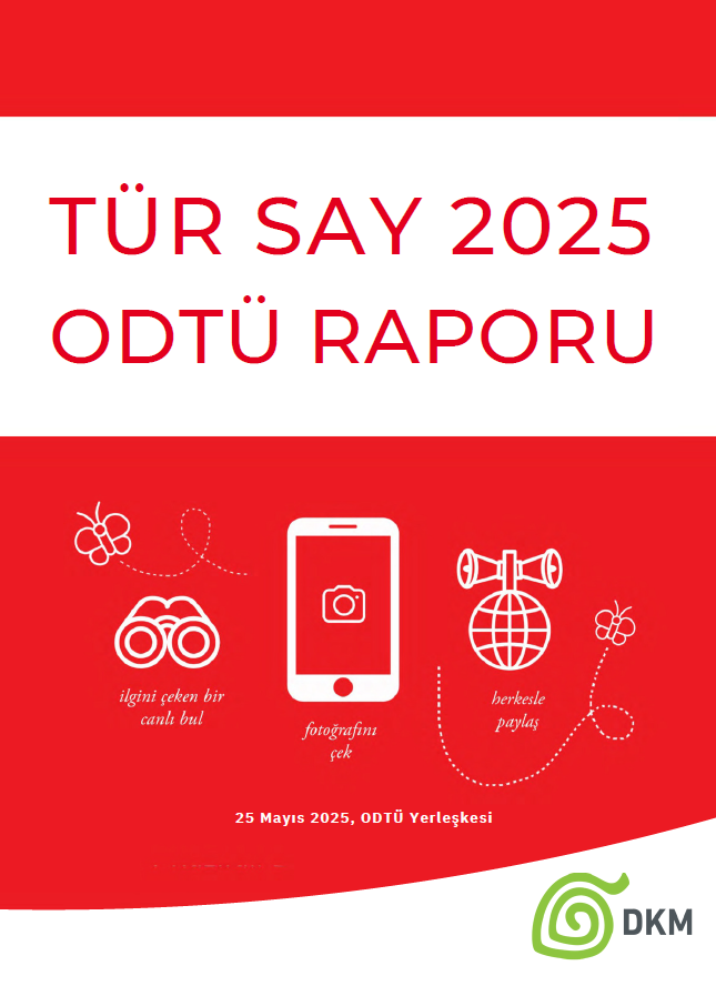 Tür Say 2025 Raporu Yayımlandı!