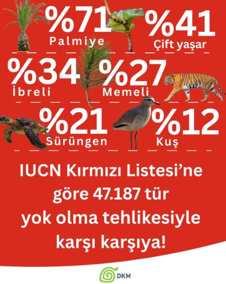 Doğanın Nabzı: Gezegenimizdeki 47.187 Tür Tehlikede!