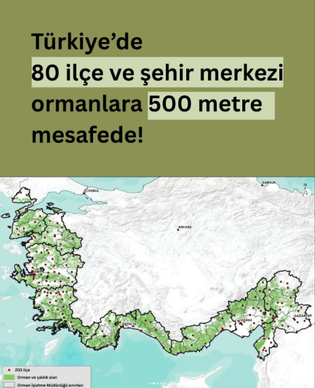Orman Yangınları Yerleşim Yerlerini Tehdit Ediyor!