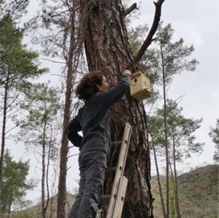 Biodiversity-Focused Post-Fire Ecosystem Restoration Guide