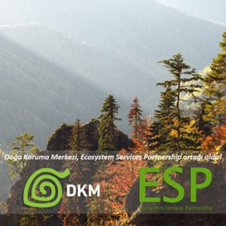 DKM has become an institutional member to the ESP!