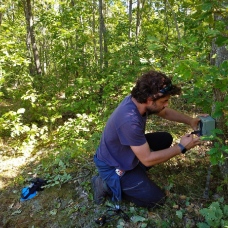 We monitor wildlife in many areas of Türkiye by using photocatchers.