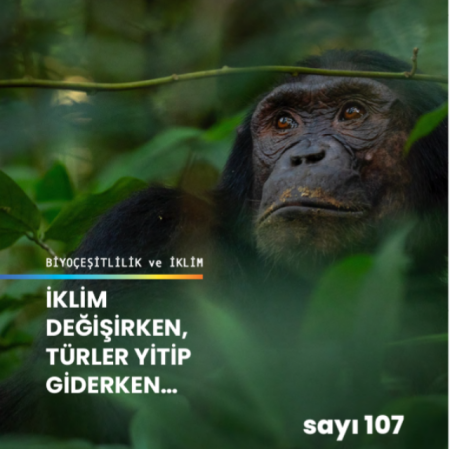 An interview with Dr Uğur Zeydanlı, Head of the Board of DKM was held in the 107th Biological Diversity issue of Eko IQ!