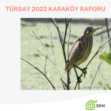 TürSay 2022 KARAKÖY Raporu yayımlandı