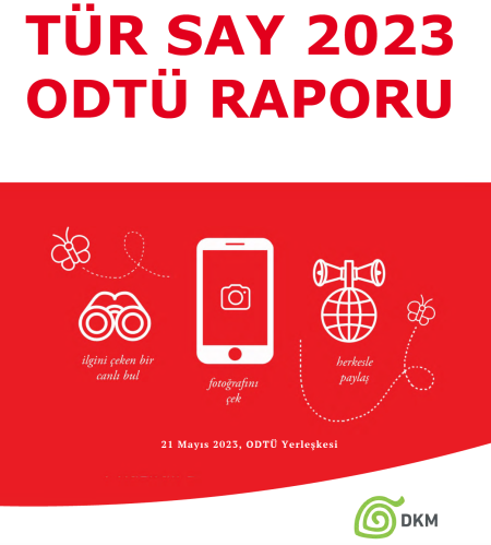 Tür Say 2022 ODTÜ Raporu yayımlandı