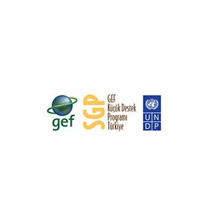 United Nations Development Programme Global Environment Facility Small Grants Programme (UNDP GEF SGP)