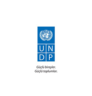 United Nations Development Programme (UNDP)