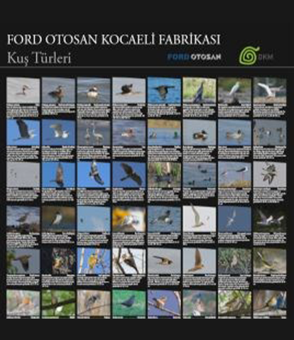 Ford Otosan Kocaeli Fabrikası Bitki Poster