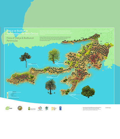 Datça ve Bozburun Yarımadaları'nın Bitki Örtüsü