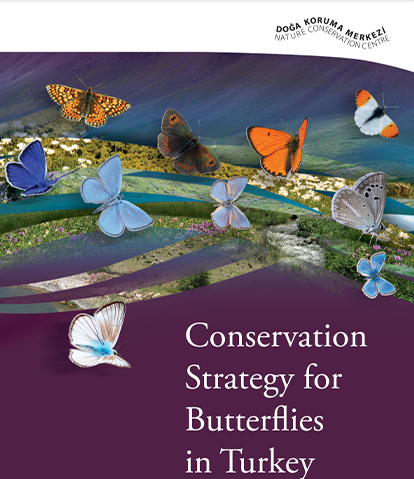 Conservation Strategy Butterflies