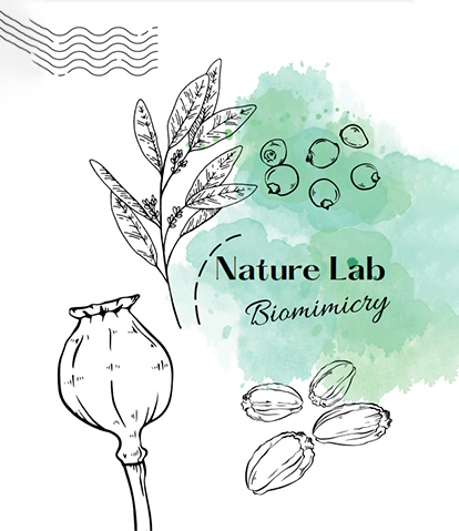 NatureLab Biomimicry Nature Lab