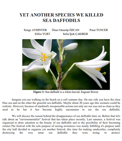 Yet Another Species We Killed Sea Daffodils