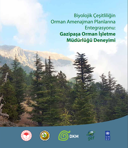 Biyolojik Çeşitliliğin Orman Amenajman Planlarına Entegrasyonu: Gazipaşa Orman İşletme Müdürlüğü Deneyimi