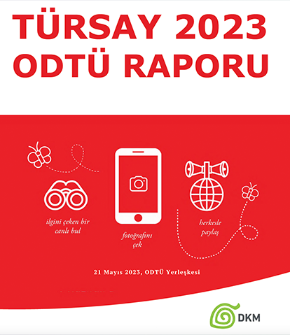 Tür Say 2023 ODTÜ Raporu