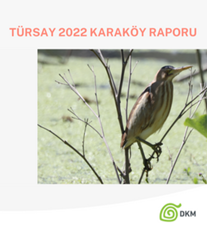 TürSay 2022 Karaköy Raporu