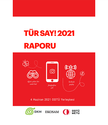 TürSay 2021 Raporu