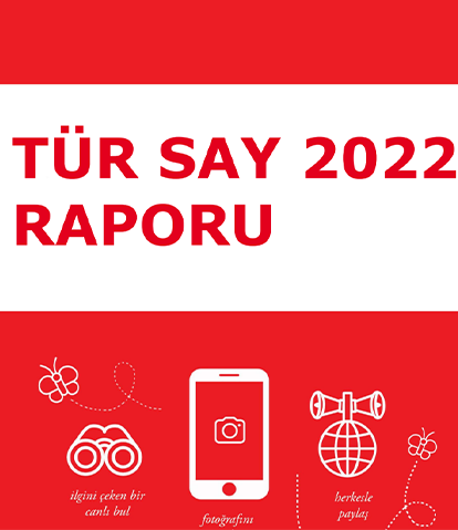 TürSay 2022 ODTÜ Raporu