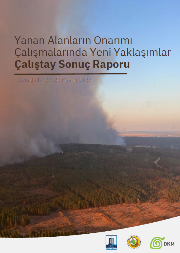 Yanan Alanların Onarımı Çalışmalarında Yeni Yaklaşımlar Çalıştay Sonuç Raporu Yayımlandı!
